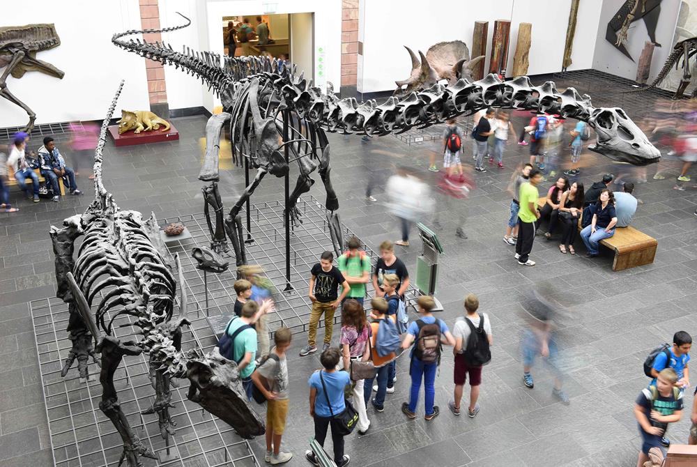 Iguanodon bernissartensis und Diplodocus longus mit Publikum © Senckenberg Naturmuseum, Foto: Sven Tränker