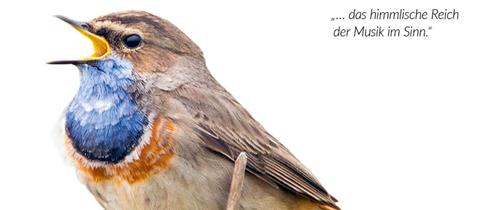 Key Visual Goethe-Festwoche "Goethe und die Musik" Kulturamt Stadt Frankfurt am Main